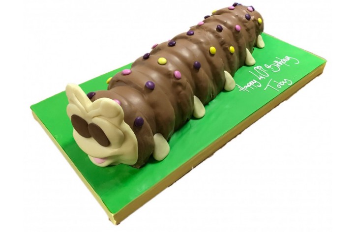 Chocolate Caterpillar cake
